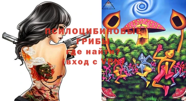 прущая мука Инта