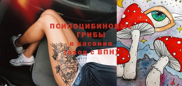 прущая мука Инта