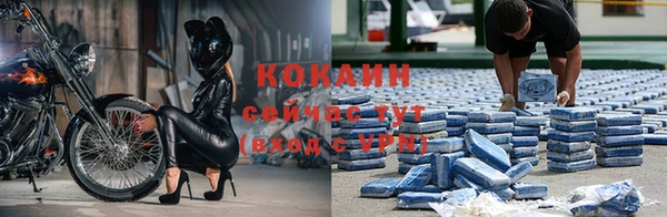 прущая мука Инта